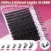 Fluffy Lash Clusters Kit - Wispy 10-20mm Individual Lashes 100D Volume D Curl Extension with Bond Seal & Tweezers for Self Application - Buy Online on GoSupps.com