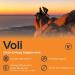 Voli Energy - Santa Barbara Citrus Clean Energy Supplement | 100mg Caffeine from Green Tea | No Artificial Sweeteners | 15 Servings (Pack of 1 - Buy Online on GoSupps.com
