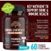 Strong Earth Organic Vitamin D3 Gummies for Kids - 1000 IU 60 Ct Vegan Chewable Supplements for Bone & Immune Support - Strawberry/Raspberry Flavor - Buy Online on GoSupps.com