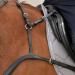  Sunride Real Leather Front Stuff Ascot for Horses - 5-Point & 3-Point Martingal Rings - Black Pony Tack  - Buy Online on GoSupps.com