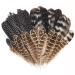 Natural Turkey Spotted Feathers  30Pcs Pheasant Feathers for Crafts DIY Hat Floral Arrangements Wing Quill Wedding Home Party Decorations 6-8 inch(3 Styles) A Type