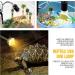 Tortoise Heat Lamp 50W UVA UVB Basking Lamp with 360 Rotatable Clip & Power Adapter 30cm Rotatable Gooseneck with 3 x 50W Heat Bulb Heating Light for Reptiles Lizard Turtle Snak Aquarium - Buy Online on GoSupps.com