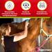 EGGERSMANN My Horse Feed Professional Skin Kur 1 kg - Concentrate with Brewer's Yeast Pebble Gur & Herbs - Supports Skin Regeneration & Immune Defense - Supplementary Feed for Horses & Ponies - Buy Online on GoSupps.com