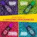 Airpure Incrediballs Laundry Booster - Midnight Glow Scent | Eco-Friendly Laundry Solution - Buy Online on GoSupps.com