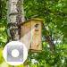 12PCS Bird Nest Box Protection Plates 32mm Wild Bird Boxes Garden Small Birds Metal Plate Birdhouses Bird Houses Robin Nest Box Sparrow Nest Box Owl - Buy Online on GoSupps.com