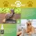 KinderPet Eco Friendly Cat Flea Treatment Big Value 250ml Tick Lice Mite Control Spray Kill Fleas and Eggs For The Home Safe Natural Effective Made in The UK - Buy Online on GoSupps.com