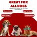 ZENO Dog Toys - Pack of 10 | Rope Chew Toys for Dogs | Strong Rope Ball & Tug for Teething & Training | Puppy Teething Toys | 100% Natural Cotton | Great for Small Medium & Large Puppies & Adults - Buy Online on GoSupps.com