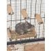 Totally Degu Corn Treats - Buy Online on GoSupps.com