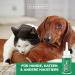 Silver Power Spot On Solution 100ml - Effective Tick Flea Mite & Lice Treatment for Dogs & Cats - Safe Anti-Vermin Remedy for Young Pets 12 Weeks+ - Buy Online on GoSupps.com