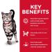 Hill's Science Diet Adult Indoor Dry Cat Food Chicken Recipe 7 lb Bag & Adult Oral Care Chicken Recipe Dry Cat Food for Dental Health 7 lb Bag - Buy Online on GoSupps.com