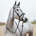 HORZE Slender Grippy Rubber-Intertwined Riding Web Reins | Black Horse | Hand Stops Included - Buy Online on GoSupps.com