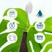 RADIUS Toothbrush Source Floss Brush - BPA Free, ADA Accepted - Soft - Pack of 3 - Buy Online on GoSupps.com
