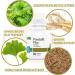 Virte Prostafit Plus: Premium Palmetto Muira Puama Ginseng & Ginkgo Biloba Extract for Men's Health - Boost Vitality & Well-Being - Buy Online on GoSupps.com