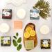 Buy Maple & Lather Triple Milled Bar Soap - Northern Mint Exfoliating & Moisturizing 209g - Sustainably Sourced from Provence France - Buy Online on GoSupps.com