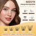 QUEWEL 480PCS Eyelash Cluster Kit - DIY Individual Eyelash Extensions Set Long-Lasting Glue & Remover - Perfect for Travel - Natural-D Mix - Buy Online on GoSupps.com