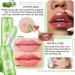 4PCS Aloe Vera Lipstick Color Changing Lipstick Moisturizing Magic PH Jelly Lipstick Set for Women Tinted Lip Balm Long Lasting Waterproof Color Change Lip Gloss Makeup - Buy Online on GoSupps.com