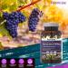 ResVitale Resveratrol 500mg - Anti Aging Antioxidant Supplement with Grape Extract & Quercetin - 60 Veggie Caps - Buy Online on GoSupps.com