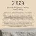 Ginzai Eyes Pads - 60 Hydrogel Eye Masks with Ginseng | Vegan Anti-Aging Moisturizing Treatment for Dark Circles & Wrinkles | International Shipping - Buy Online on GoSupps.com