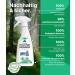 Emma Gr n Upholstered Cleaner for Sofa Couch & Car Seats | 500ml Anti-Smell Spray & Upholstery Brush | Sustainable Upholstery Cleaning Solution - Buy Online on GoSupps.com