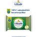 Cottonelle Moist Toilet Paper Wipes | Biodegradable & Plastic-Free | Soothing Cleanliness with Prebiotic Lotion | 38 Wet Wipes in 1 Pack - Buy Online on GoSupps.com