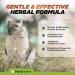Natural Dewormer for Cats | Herbal Blend with 3 Powerful Medicinal Herbs | 100% Natural | Supports Gut & Intestinal Health | Gentle Yet Effective - Buy Online on GoSupps.com
