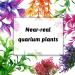 PietyPet 15pcs Fish Tank Decorations: Resin Broken Barrel, Cave Rock, Plastic Plants, Hideout Ornaments - Aquarium Decor Set - Buy Online on GoSupps.com