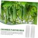 Toddmomy Garden Fruit Mould 8 Pcs Vegetable Shaping Mold Cucumbers Fruit Mold Fruit and Vegetable Suite Gourd - Buy Online on GoSupps.com