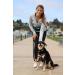 One Trail Hands Free Dog Lead | Durable Bungee Leash With No-Bounce Pack (Large Dog Black) Large Dog Black - Buy Online on GoSupps.com