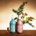 Buy Compagnie de Provence Liquid Marseille Soap - Festive Pine & Woodland Spice | Holiday in Provence Duo - International Shipping Available - Buy Online on GoSupps.com