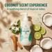 NATURE WELL Extra Virgin Coconut Oil Ultra-Moisturizing Body Wash Gentle & Creamy Formula Packed with Antioxidants Vitamins A C & E & Squalane Provides Gentle Cleansing & Intense Hydration 33 oz - Buy Online on GoSupps.com