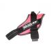 JULIUS K-9 - IDC Powair Dog Harness Size: M / 0 Pink Pink M/0