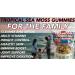 Sea moss Gummies Tropical Fruit small - Buy Online on GoSupps.com