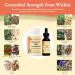 Kan Herb Company Rehmannia Eight Combination Traditional Chinese Herbal Blend for Dogs and Cats to Support Kidney Health Vitality and Hormonal Balance Liquid Herbal Supplement for Pets 1 fl oz - Buy Online on GoSupps.com