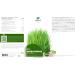 Nature's Finest Organic Wheat Grass Powder | 100% Natural Young Organic Wheatgrass | Rich Source of Protein Fiber & Chlorophyll | Third Party Tested Quality - Buy Online on GoSupps.com