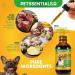 Collagen for Dogs Liquid Supplement 60ml | Natural Collagen Supplement for Dogs | Joint Health & Mobility Support | Promotes Healthy Skin & Coat | Supports Overall Well-Being | Natural Ingredients - Buy Online on GoSupps.com