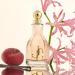 JIMMY CHOO I Want Choo Eau de Parfum Spray 1.3 Fl Oz - Buy Online on GoSupps.com