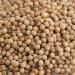 Muntok White Whole Peppercorns Gourmet Pepper 50g - Buy Online on GoSupps.com