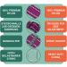 Buy Dey Premium Reflective Dog Collar - Adjustable Nylon for Small & Large Dogs - Multiple Colors & Sizes - Purple S (1.5 x 27-37 cm) - Durable & Stylish Cat & Puppy Neck Strap - Buy Online on GoSupps.com