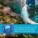 Seavenger Ocean Kiss Reef-Safe Sunscreen SPF 50 - Jellyfish Sting Protection - 4 Fl Oz - Ideal for International Shipping - Buy Online on GoSupps.com