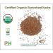 Certified Organic Toasted Buckwheat Kasha - Non-GMO Vegan Bulk Hulled 10LB Pack - Buy Online on GoSupps.com
