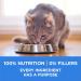 Purina ONE +Plus Dry Cat Food Urinary Tract Formula Chicken - 1.8 kg Bag - Buy Online on GoSupps.com