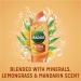  Radox Radox Mineral Therapy Feel Revived Shower Gel with lemongrass and mandarin fragrances for a revitalizing shower experience 250 ml - Buy Online on GoSupps.com