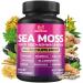 BMVINVOL Sea Moss Black Seed Shilajit Ashwagandha + Bladderwrack Ginger Moringa Turmeric Burdock Ginseng Rhodiola Rosea - 100 Capsules