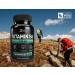Vitamin B6 100mg Capsules | Pyridoxine HCL for Energy & Heart Health | 180 Capsules - Buy Online on GoSupps.com