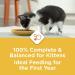 Purina Kitten Chow Dry Kitten Food - (4) 3.15 lb. Bags - Supports Muscle and Brain Development - Buy Online on GoSupps.com