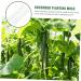 Toddmomy 3pcs Vegetable Shaping Vegetables Fruit Stereotypes Molds Shaper Garden Tools Pizza - Buy Online on GoSupps.com
