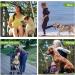 Premium Stretchy Dog Leash for Jogging & Hiking - Ideal for Small to Medium Dogs (118-200 cm) - Buy Online on GoSupps.com