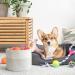 INDRESSME Small Rope Basket - Round Woven Storage Basket for Cute Dog Toys, Baby Nursery, Keys - 9.4 x 9.4 x 7.1 inches White - Buy Online on GoSupps.com