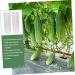 Milisten Garden Fruit Mould 2pcs Vegetable Shaping Mold Cucumbers Cucumber Shaping Mold Vegetable Shaper Mold Planting Supplies - Buy Online on GoSupps.com