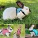 Adjustable Rabbit Dishes & Leash Set for Small Animals 2 Pieces in Blue & Pink | Perfect for Rabbits Hares Hamsters & Cats | Outdoor Use - Buy Online on GoSupps.com